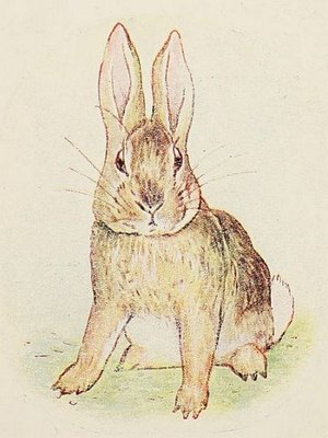 cover image of The Story of a Fierce Bad Rabbit
